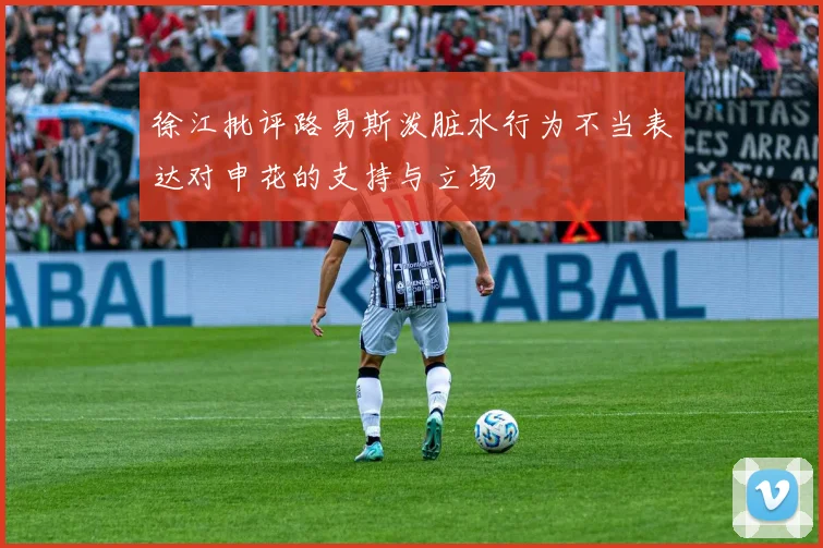 徐江批评路易斯泼脏水行为不当表达对申花的支持与立场