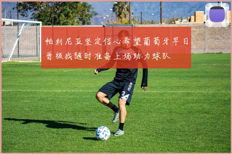 帕利尼亚坚定信心希望葡萄牙早日晋级我随时准备上场助力球队